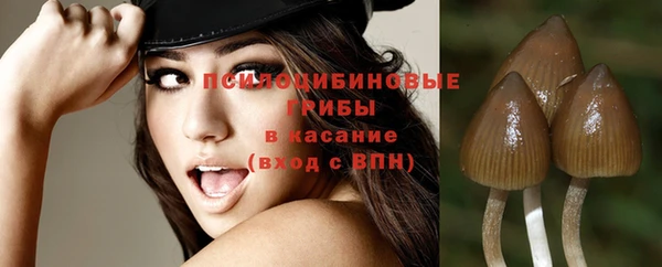 сатива Кодинск