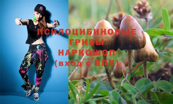 твердый Кинешма