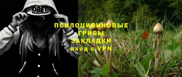 дживик Киреевск