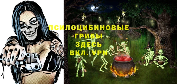 твердый Кинешма
