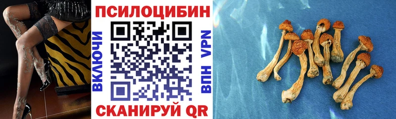 Псилоцибиновые грибы MAGIC MUSHROOMS  Кимовск 